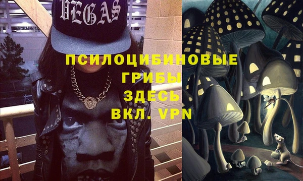 молекула духа Нея