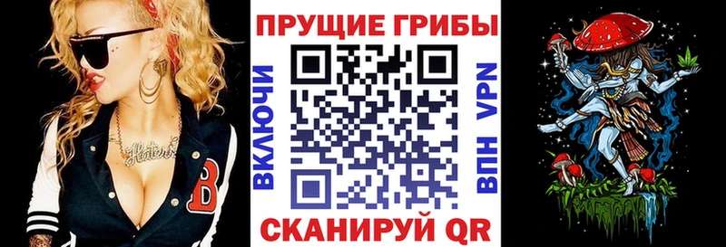 Галлюциногенные грибы ЛСД  Нея 